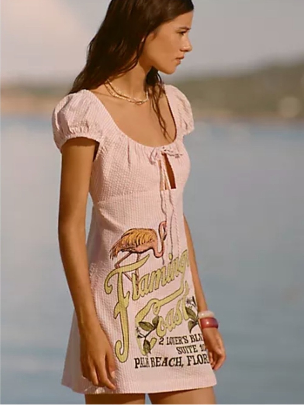 NWT Anthropologie Celandine Flamingo Coast pink & white mini dress S